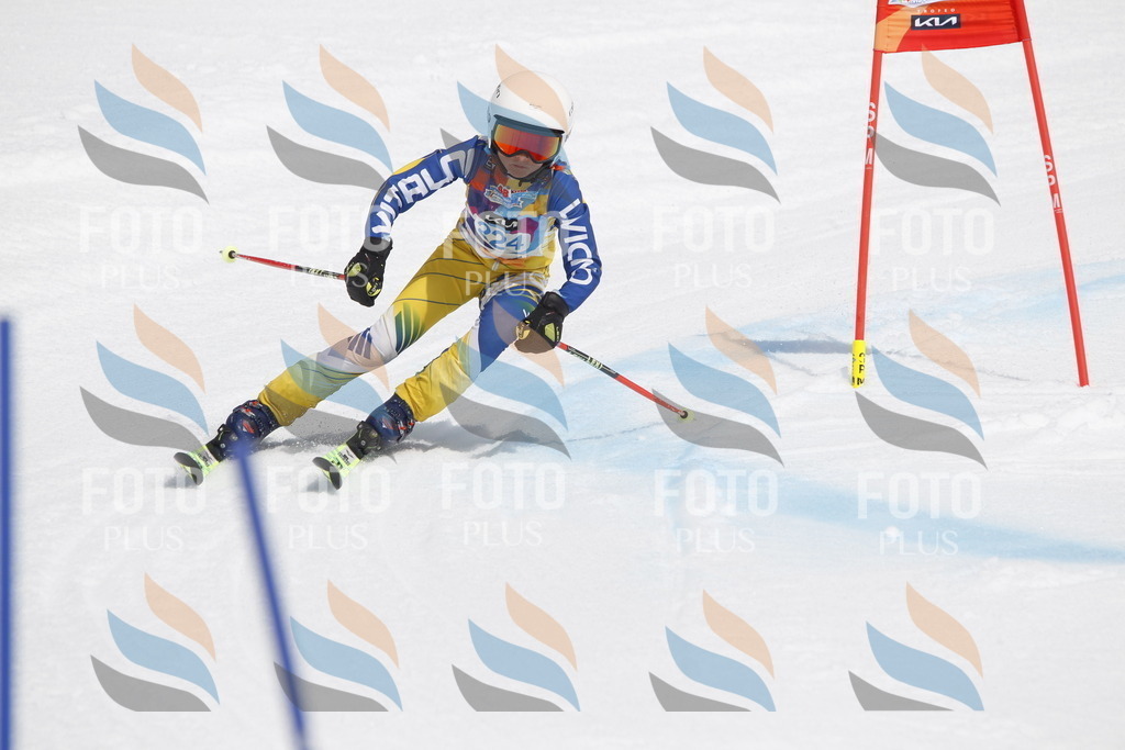 _U3G2443 | holidayphoto