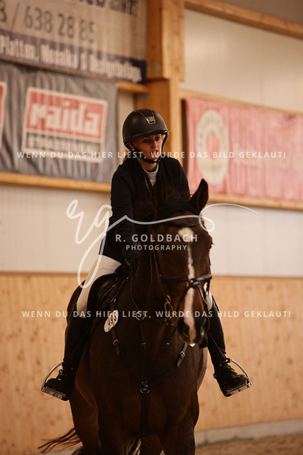 1J2A4589Louisa Schneider_ Viva Willy_ Kn493_ Hohen Wieschendorf_ Glantz | Foto- und Videografie für alles rund ums Pferd. Hochwertige Bilder und Videos vom Spring- und Dressurreiten, Voltigieren & mehr. Jetzt aktuelle Veranstaltungen und Preise im Shop ansehen. - Realisiert mit Pictrs.com