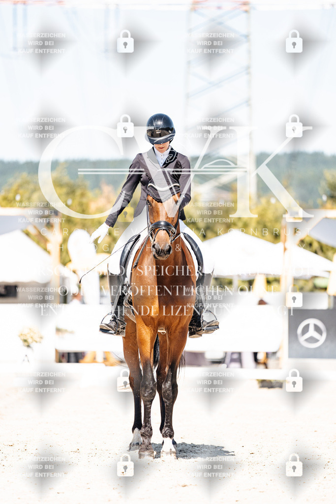 CK909742 | Turnierfotografie Pferdefotografie Trier Rheinland-Pfalz Pferdesport Reitsport Tierfotografie Sportfotografie Pferdevideo Pferdevideografie Equestrianvideography equestrianphotography  - Realisiert mit Pictrs.com