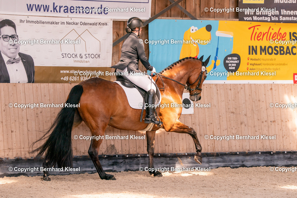 2A902017 | foto-team-bernhard - Realisiert mit Pictrs.com