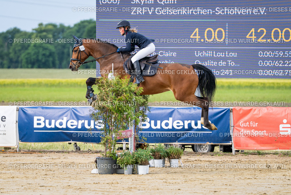 DSC03540 | Pferdegrafie