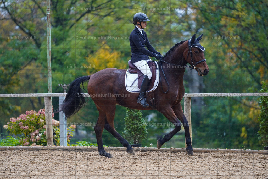 20221008-FAH02020 | Diessen am Ammersee, 2022, Dressur- und Springturnier, Reitsportbilder, Turnierfotografen Bayern, Pferdefotografen, Fotoagentur Herrmann, Turnierbilder