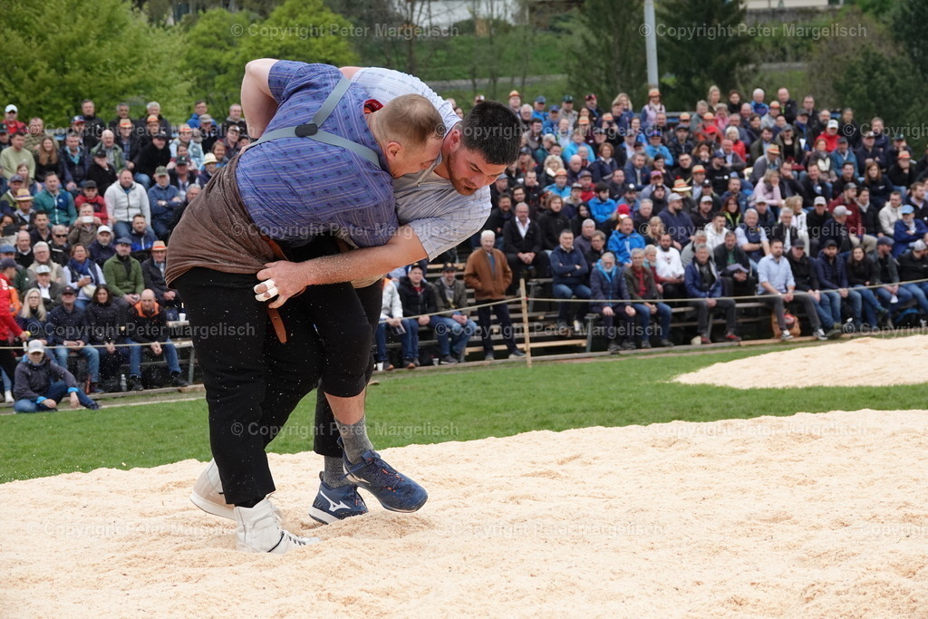 DSC03226 | Schwingen - Realisiert mit Pictrs.com