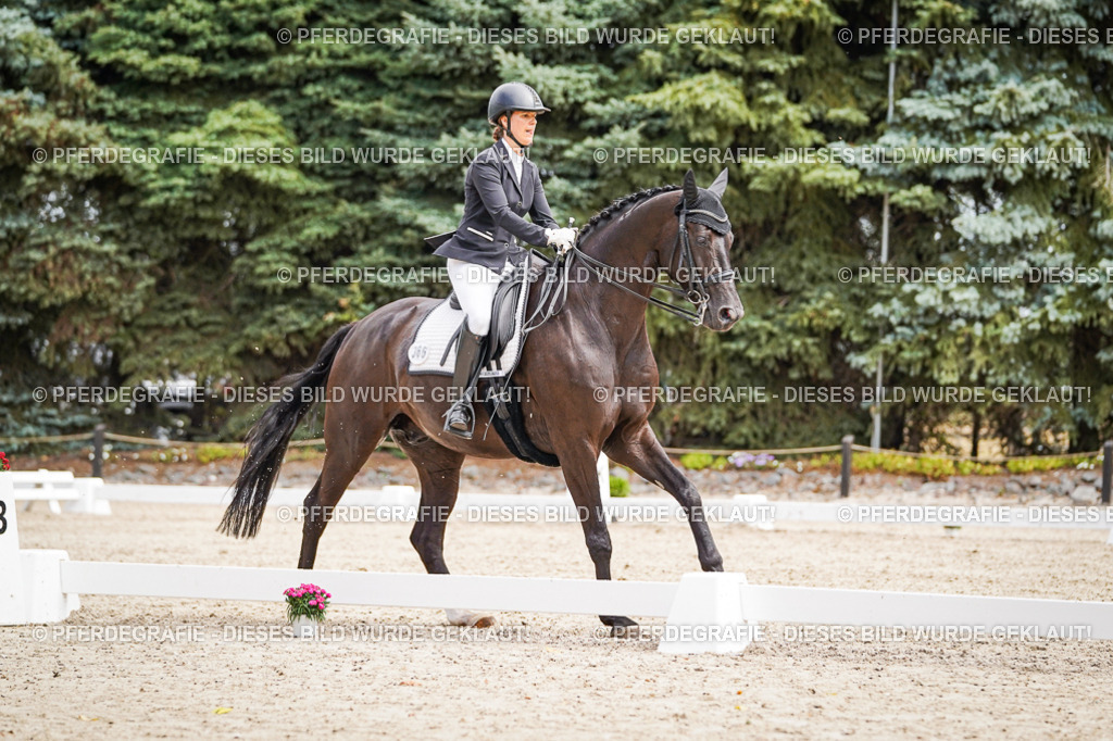 DSC03009 | Pferdegrafie