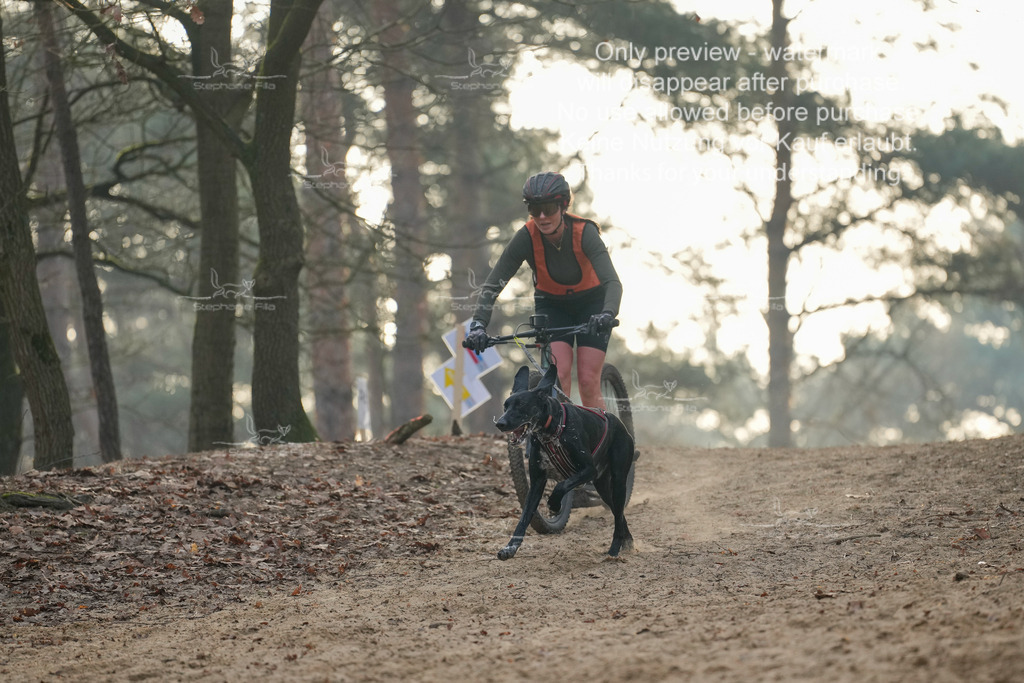 Scooter1-19 | stephaniefillaphotographie - Realisiert mit Pictrs.com