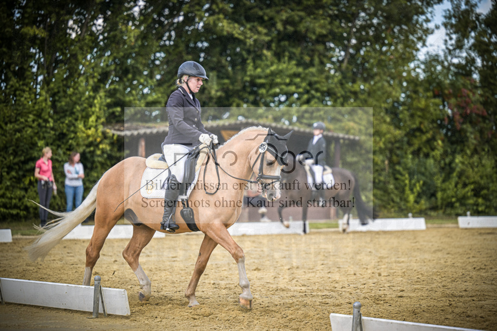 DOS_3718 | Entdecke hochwertige Reitturnierfotos von Foto Oger. Professionell, emotional und authentisch – jetzt Lieblingsmomente im Shop bestellen.Deutschlandweite Turnierfotografie. - Realisiert mit Pictrs.com