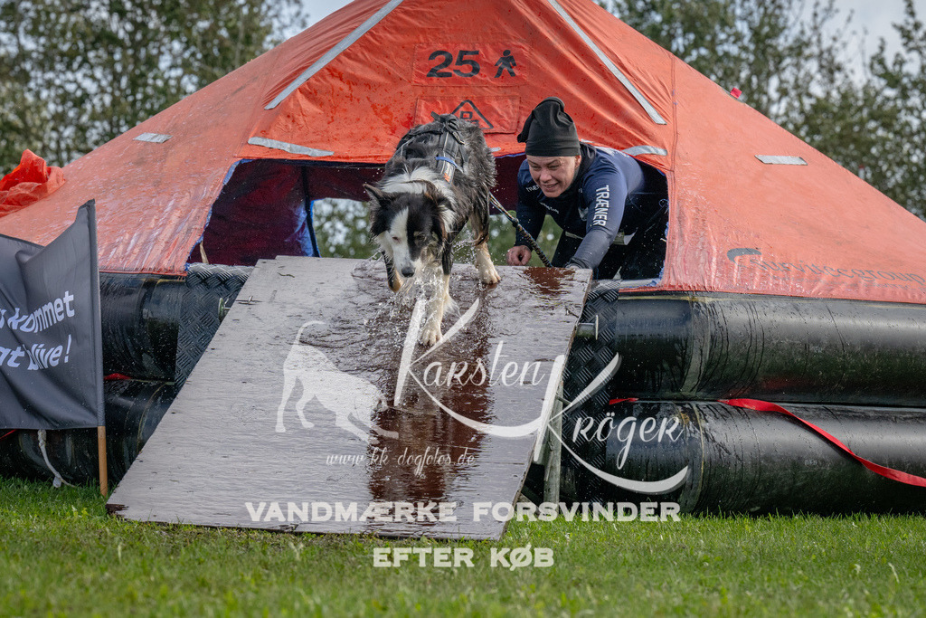 1212-92824 | kk-dogfotos