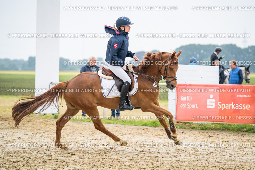 DSC00955 | Pferdegrafie