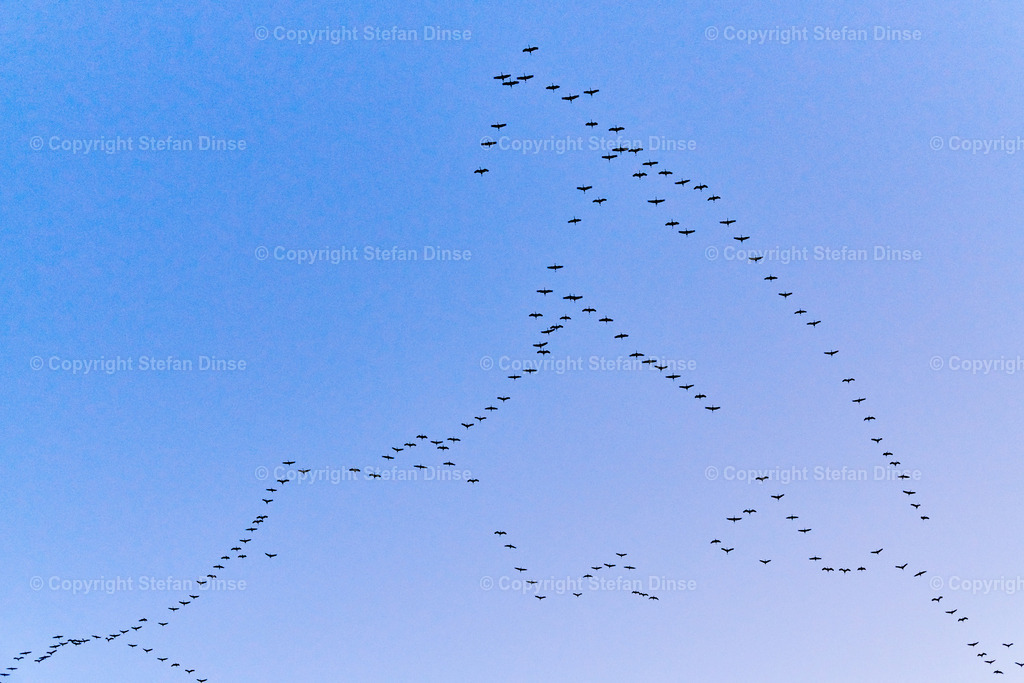 _DSC9541 | Findlinge im Eis, Zeesenboote bei der Traditionsregatta, eine Seebrücke im Sonnenaufgang - mit den Bildern aus dieser Galerie erhalten Sie wunderschöne Aufnahmen über das ganze Jahr. Ein tolles Produkt zum Verschenken, Werben oder zum Träumen vom nächsten - Realisiert mit Pictrs.com