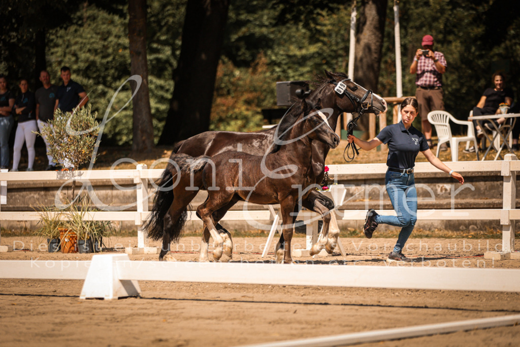 04.DoWP00079 | Leoni Ertmer Photography - Realisiert mit Pictrs.com