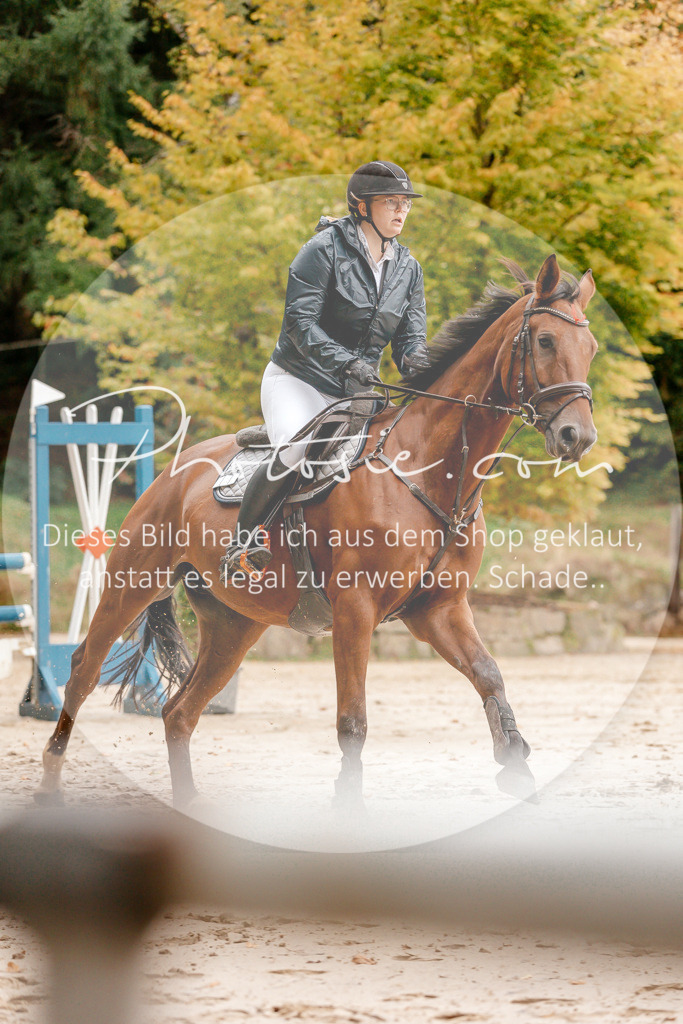 3I6A5860 | Stimmungsvolle Portraits und Reitsportfotografie im Ruhrgebiet und im Münsterland.

Pferdefotografie, Hundefotografie, Tierfotografie, Reportagen, Portraits von Tier und Mensch, Turnierfotografie in Bochum, Recklinghausen, Marl, Haltern am See, Dülmen.. - Realisiert mit Pictrs.com