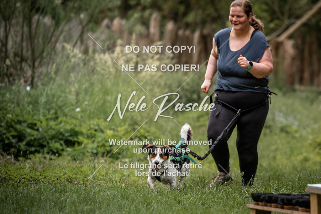 nelerasche_So-funtrail_244 | nelerasche