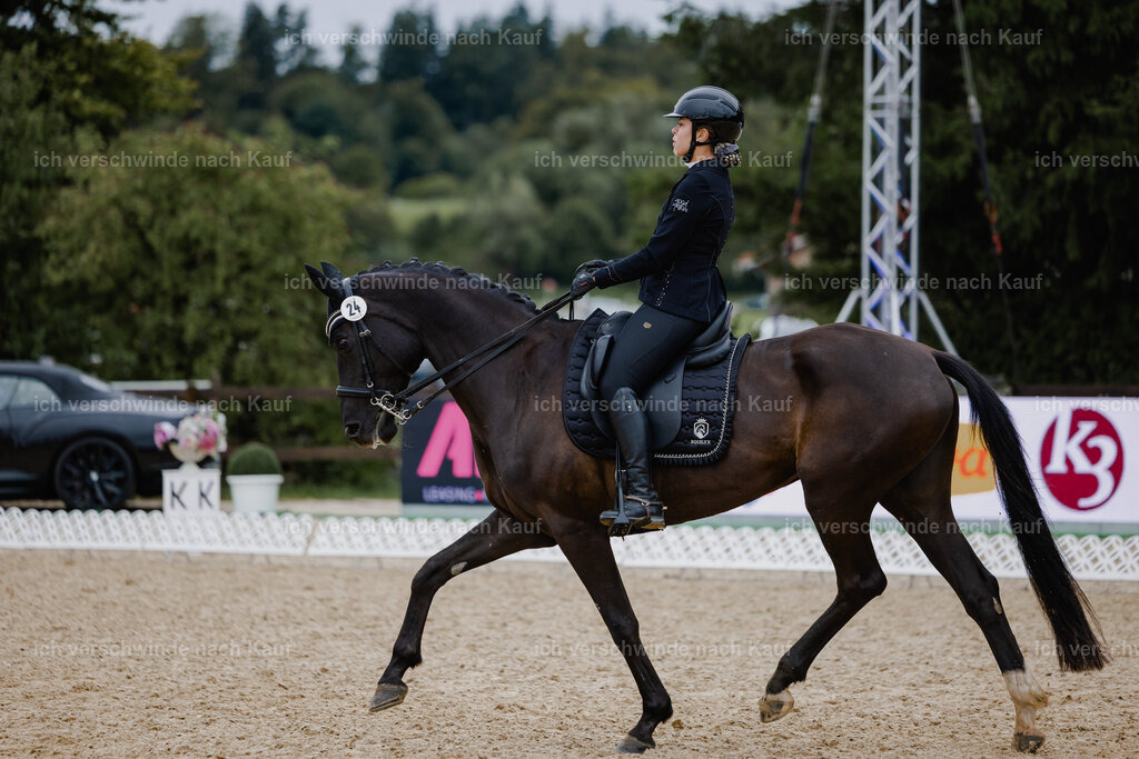 Leonie24_FHC2025-4 | working equitationturnier fotograf videograf stoibphotography marixx film working equitation deutschland reitsport turnierfotografie eventfotografie equestrian events