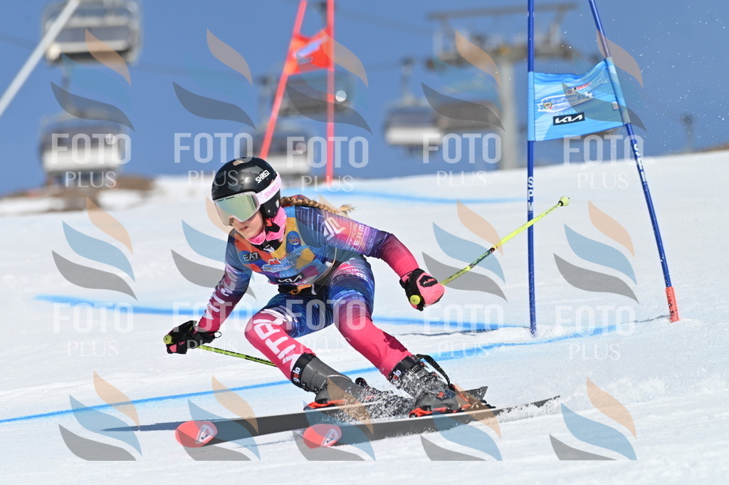 BGV_8558 | holidayphoto