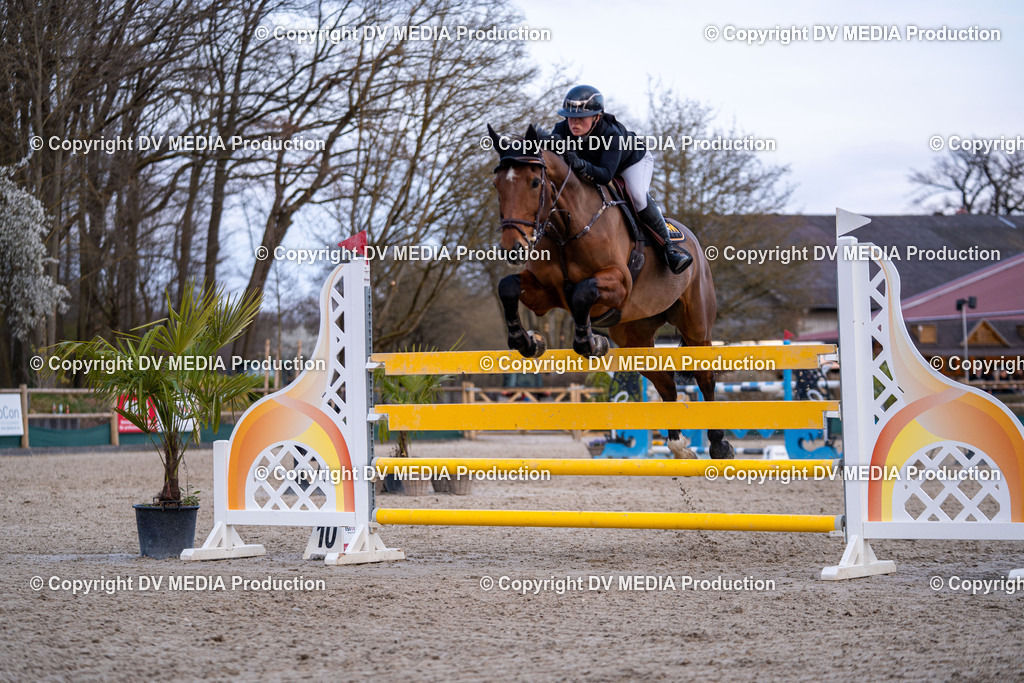 Kranichstein Tag 2-2378 | dv-media-shop - Realisiert mit Pictrs.com