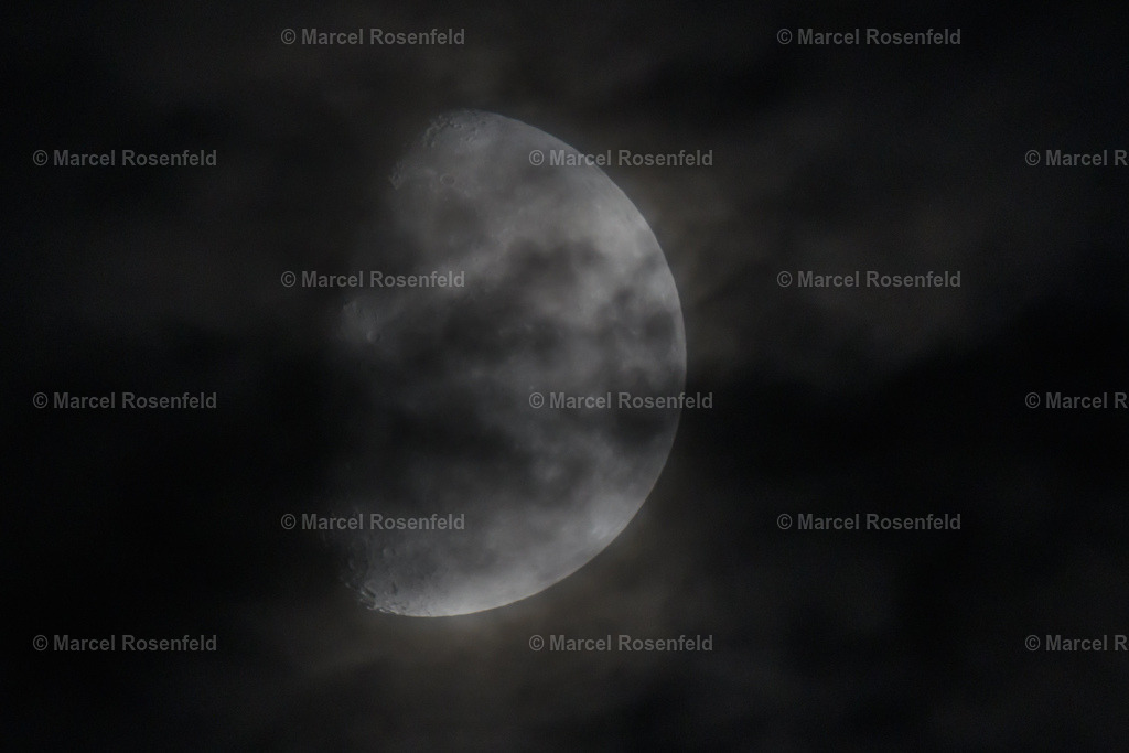 _DSC7648 | foto-rosenfeld