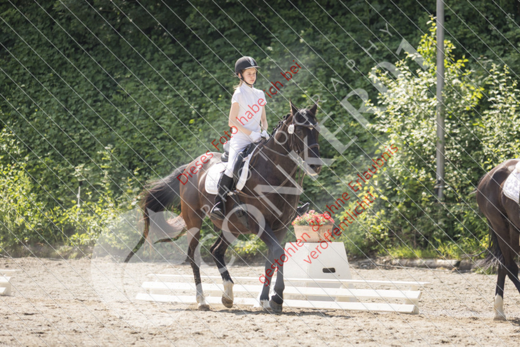 IMG_4522 | Sport-, Event- und Tierfotos in Profiqualität. Einfach auswählen, bestellen und herunterladen. Dein Moment – perfekt festgehalten.
