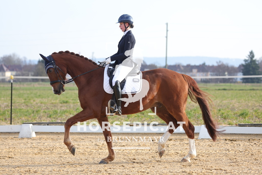 0P6A5946 | Willkommen bei Brunnmayr - Design & Fotografie – Ihrem Spezialisten für Reitturniere und Pferdeveranstaltungen in Oberösterreich, Salzburg und Bayern! Seit über 17 Jahren sind wir leidenschaftlich dabei.