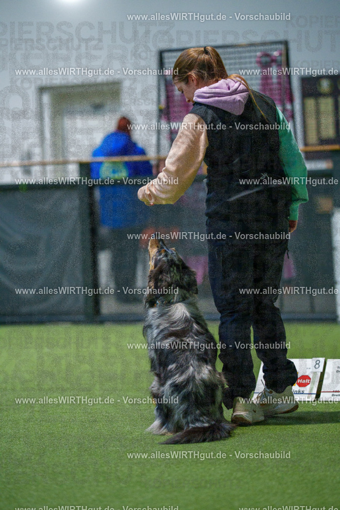 7R507680 | Professionelle Tierfotografie in Mönchengladbach von Daniel Wirth (allesWIRTHgut). Liebevolle & natürliche Bilder von Hunden & Katzen für unvergessliche Erinnerungen.