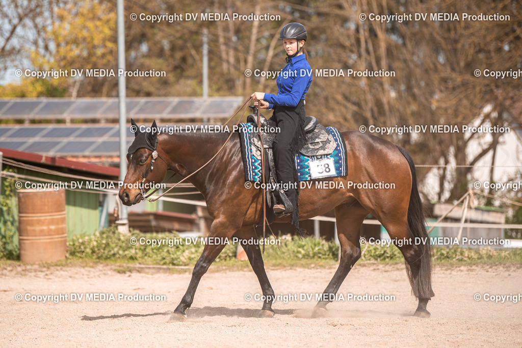 Balingen Tag 5-421 | dv-media-shop - Realisiert mit Pictrs.com