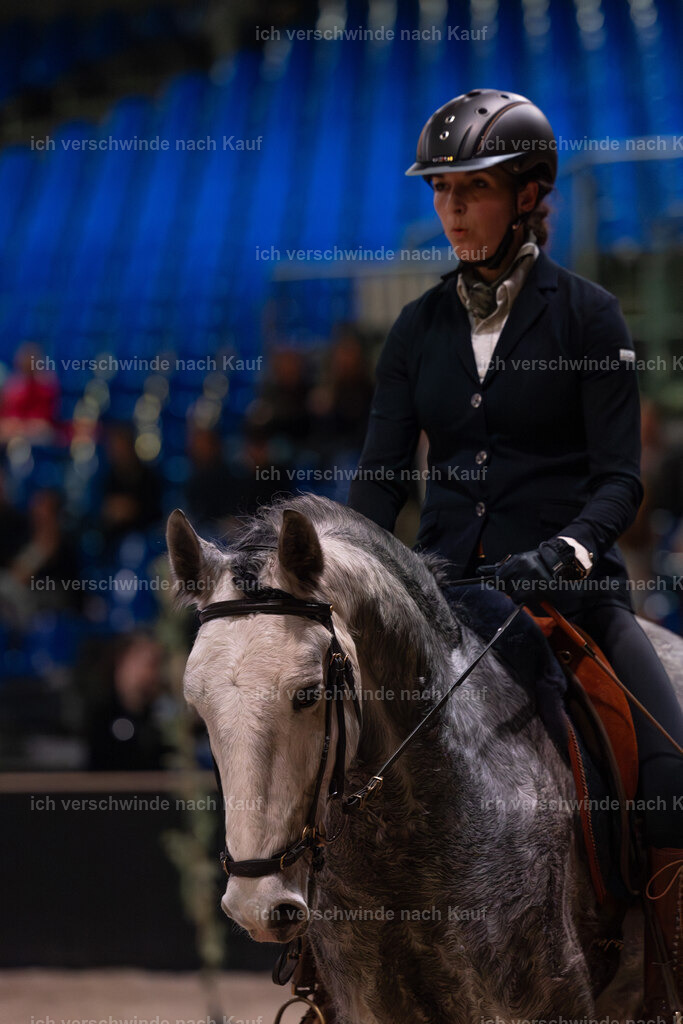 JoseraCup-10 | working equitationturnier fotograf videograf stoibphotography marixx film working equitation deutschland reitsport turnierfotografie eventfotografie equestrian events