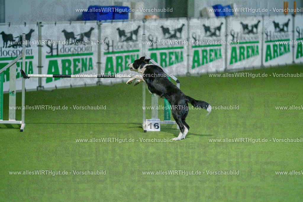 @allesWIRTHgut_Tierfotografie - www.allesWIRTHgut.de - 2604250828-7R506782 | Professionelle Tierfotografie in Mönchengladbach von Daniel Wirth (allesWIRTHgut). Liebevolle & natürliche Bilder von Hunden & Katzen für unvergessliche Erinnerungen.