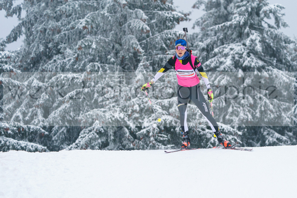 DP Oberwiesenthal | Alpencup/DP Deutschlandpokal in Oberwiesenthal am 15.-17.12.2023