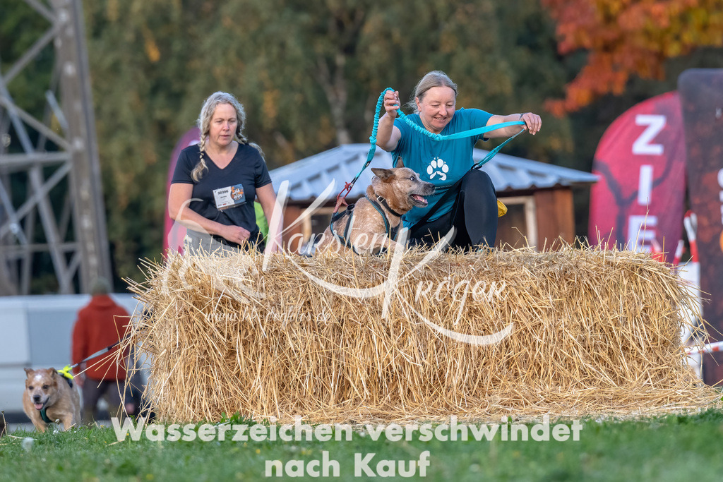 0839_ZZ91055-Bearbeitet | kk-dogfotos