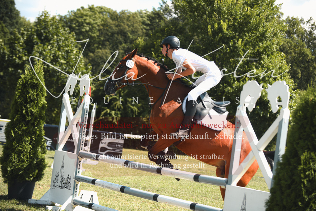 DSC_6577 | Pferde- und Turnierfotografie in Westsachsen. Pferdeportraits, Auftragszeichnungen und intuitive Kunst.