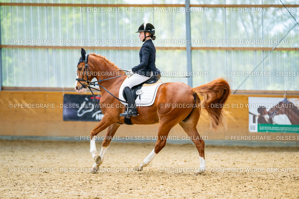 DSC09659 | Pferdegrafie