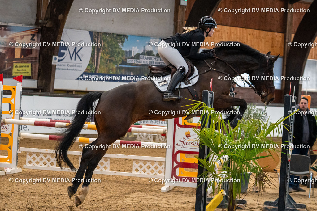 Kranichstein Tag 2-322 | dv-media-shop - Realisiert mit Pictrs.com