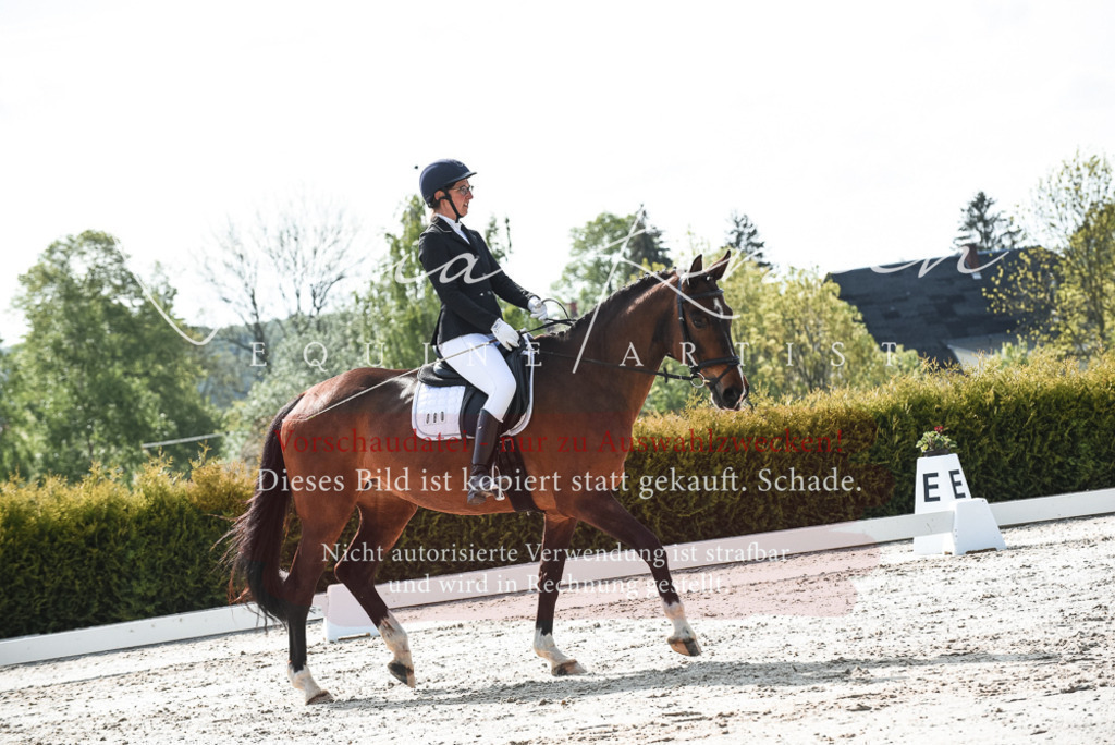 20230518_JK-Röhrsdorf-09-1255 | Pferde- und Turnierfotografie in Westsachsen. Pferdeportraits, Auftragszeichnungen und intuitive Kunst.