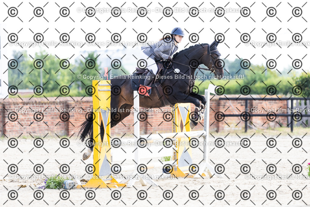 CL5A6086 | Emilia Reinking Fotografie - Realisiert mit Pictrs.com