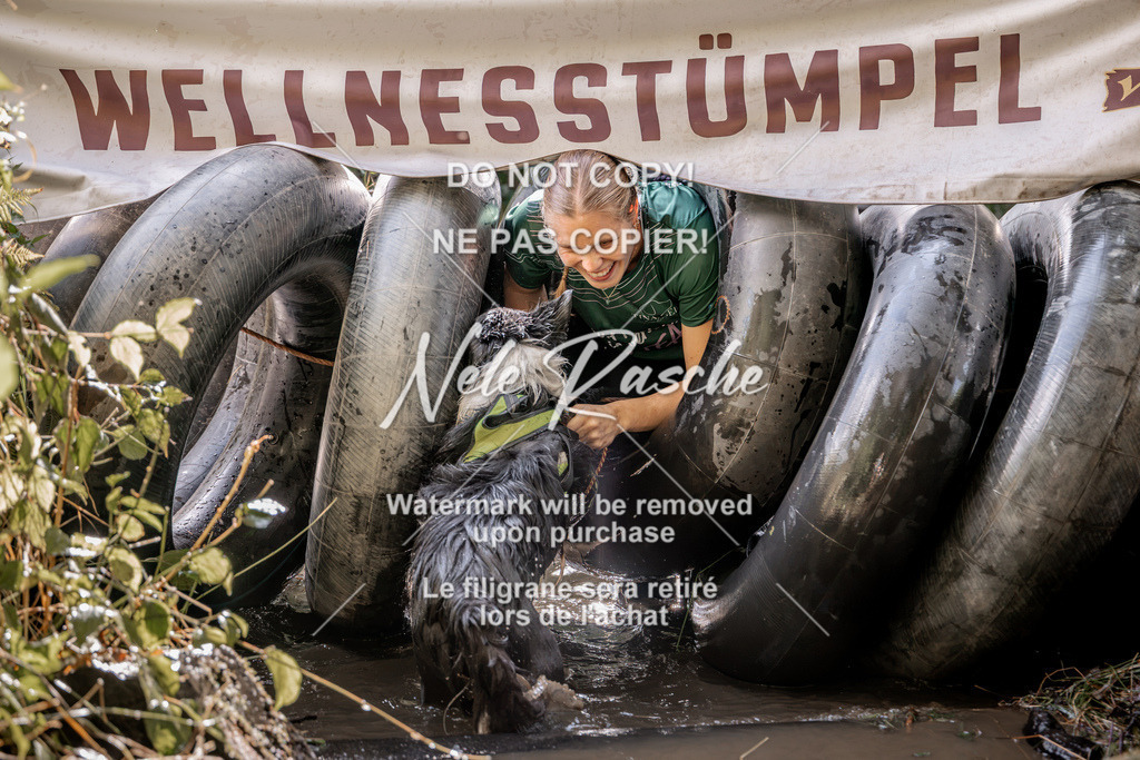 nelerasche_Hunsrück2026_Sa1400-1500_439 | nelerasche