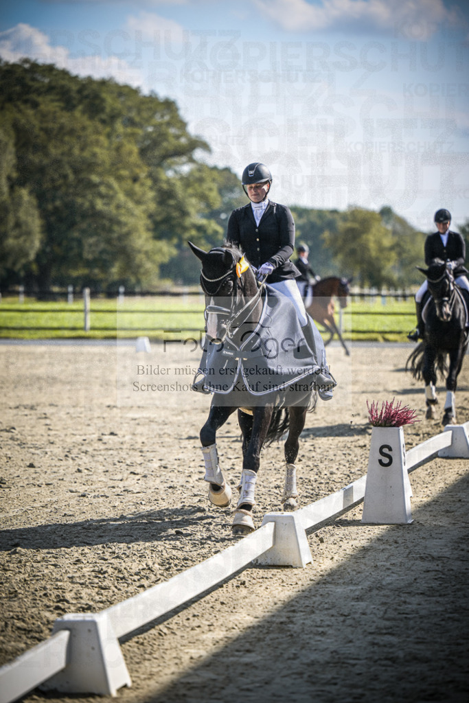DOS_0073 | Entdecke hochwertige Reitturnierfotos von Foto Oger. Professionell, emotional und authentisch – jetzt Lieblingsmomente im Shop bestellen.Deutschlandweite Turnierfotografie. - Realisiert mit Pictrs.com