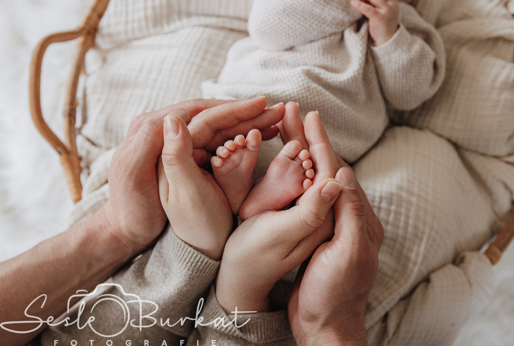 20260417-0G3A0731 | Authentische, natürliche und emotionale Fotoshootings auf der Nordseeinsel Föhr. Als Fotografin halte ich deine schönsten Momente in einzigartigen Neugeborenen-, Familien-, Paar- und Einzelshootings fest. Jetzt einen Termin vereinbaren!