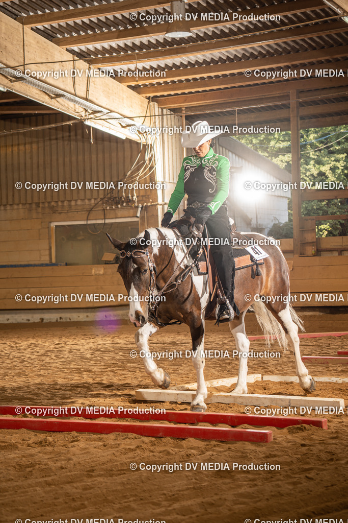 NID02671 | dv-media-shop - Realisiert mit Pictrs.com