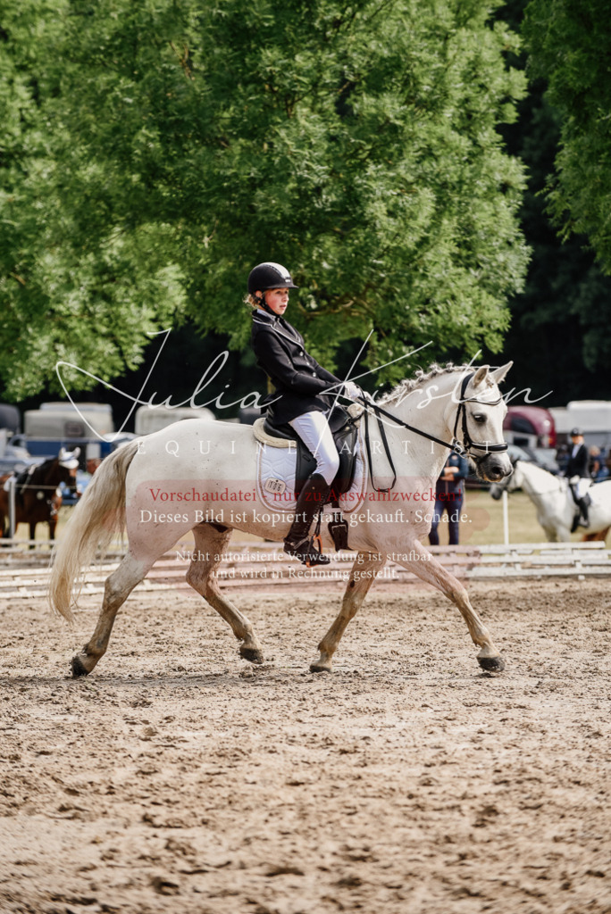 DSC_9479 | Pferde- und Turnierfotografie in Westsachsen. Pferdeportraits, Auftragszeichnungen und intuitive Kunst.