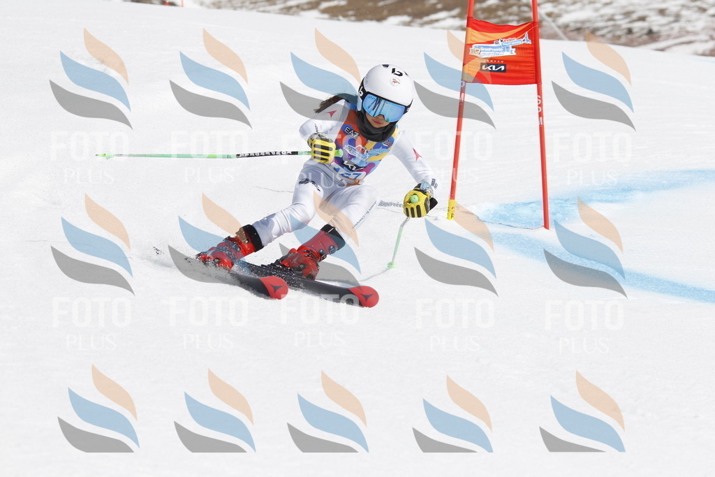 _U3G1494 | holidayphoto