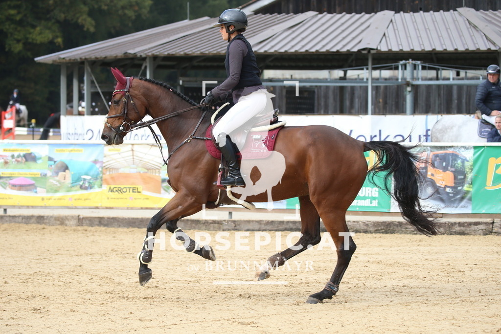 DL2Q0553 | Willkommen bei Brunnmayr - Design & Fotografie – Ihrem Spezialisten für Reitturniere und Pferdeveranstaltungen in Oberösterreich, Salzburg und Bayern! Seit über 17 Jahren sind wir leidenschaftlich dabei.