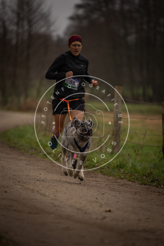 Pfotenfotografie_DV3A3042 | Hundefotografie, Tierfotograf, Pfotenfotografie, Fotoshooting Hund, Hunde Portrait, Hundesport, Hundeportraits, Heideshooting, Hunde, Sportfotograf, Hundefotograf, Turnierhundsport, THS,  - Realisiert mit Pictrs.com