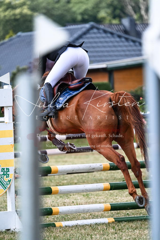 DSC_9089 | Pferde- und Turnierfotografie in Westsachsen. Pferdeportraits, Auftragszeichnungen und intuitive Kunst.