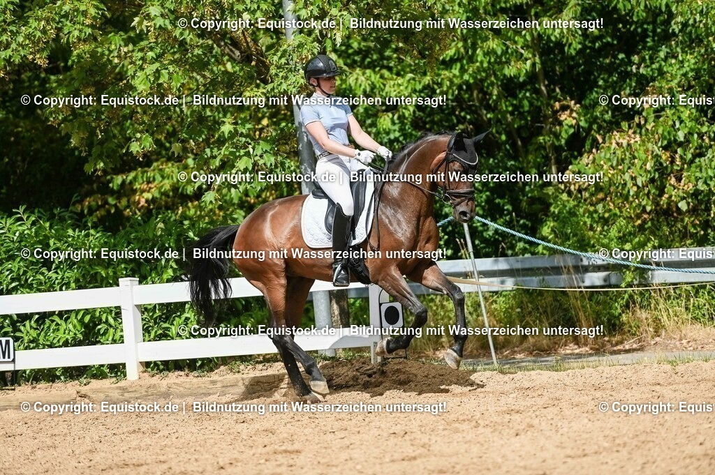 20230715_02_Dressurreiterprüfung Kl.L_0412 | equistock