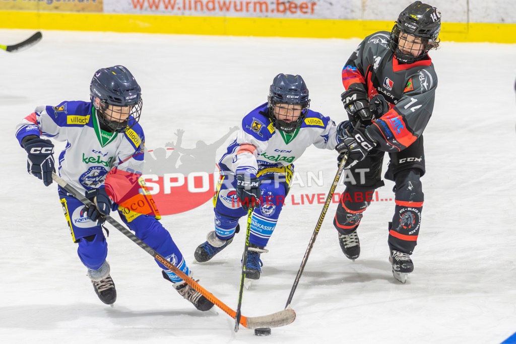 Eishockey | Eishockey, KEHV U10 Abschlussturnier am 17.03.2024 in Ferlach (HTC Eissporthalle), Austria, (Photo by Ernst Krawagner sport-fan.at) - Realisiert mit Pictrs.com