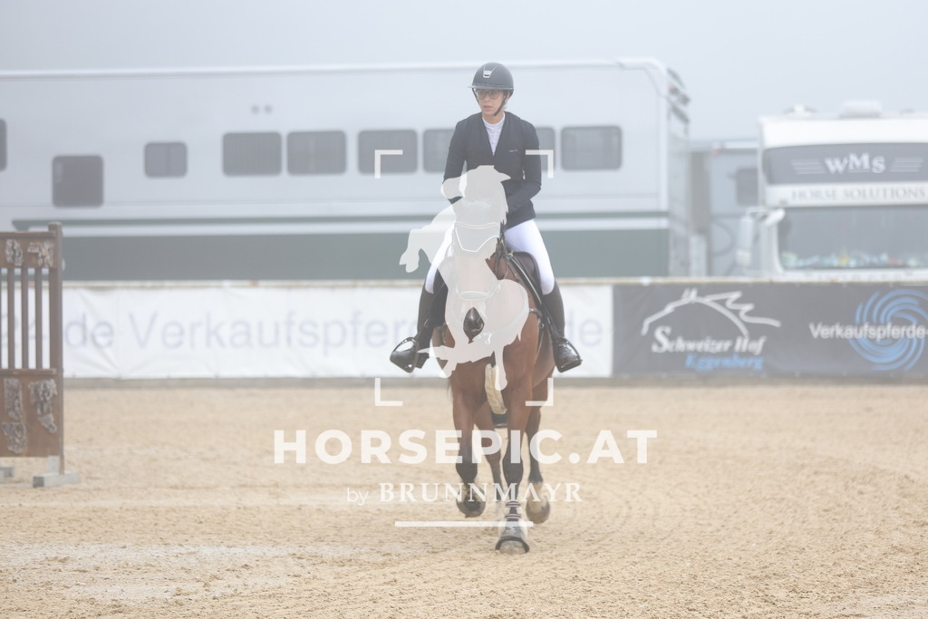 0P6A0327 | Willkommen bei Brunnmayr - Design & Fotografie – Ihrem Spezialisten für Reitturniere und Pferdeveranstaltungen in Oberösterreich, Salzburg und Bayern! Seit über 17 Jahren sind wir leidenschaftlich dabei.