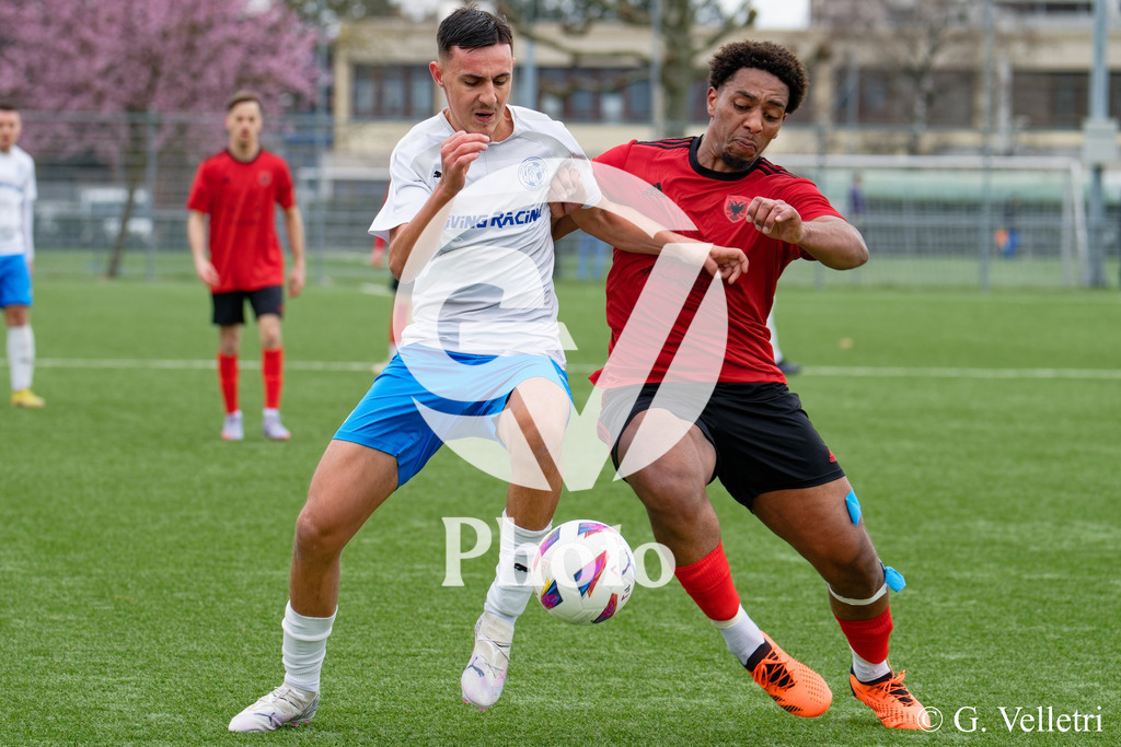 DSC_4862 | Velletri Photo