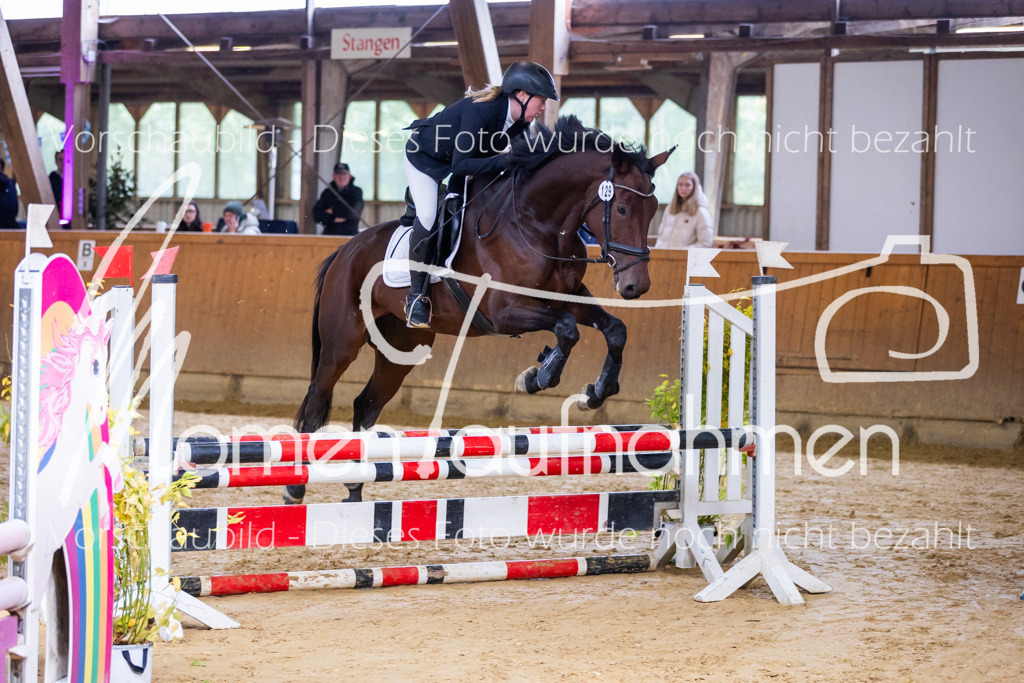 Sth-A-Springen-034 | MomenTaufnahmen Pferdesportfotos