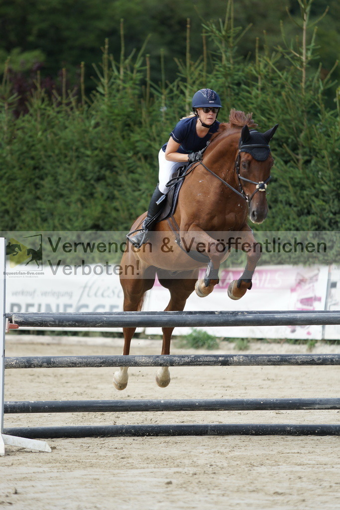 DSC01253 | equestrian-live-com