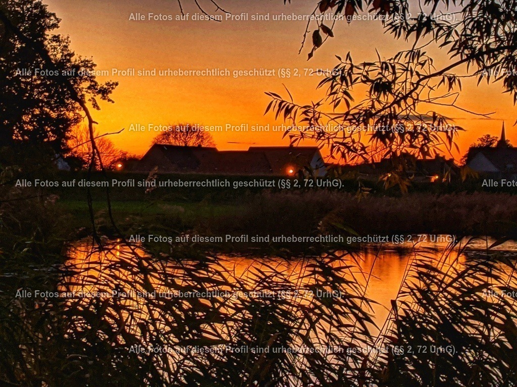 PXL_20201102_161102769-01-01 | krollfotografie - Realisiert mit Pictrs.com