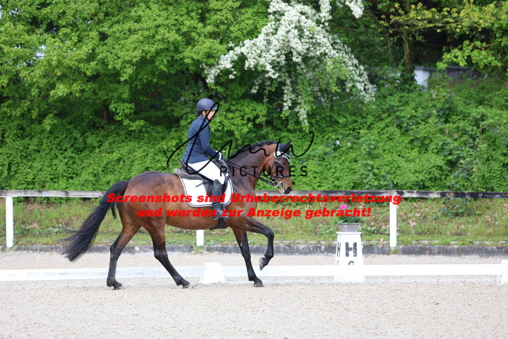 A40A0055 | lmwpictures - Realisiert mit Pictrs.com